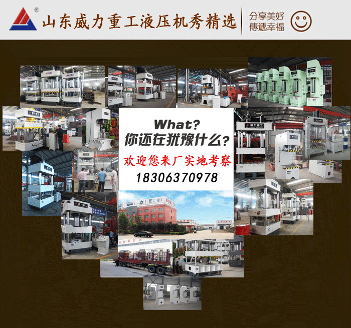 315噸大臺面液壓機