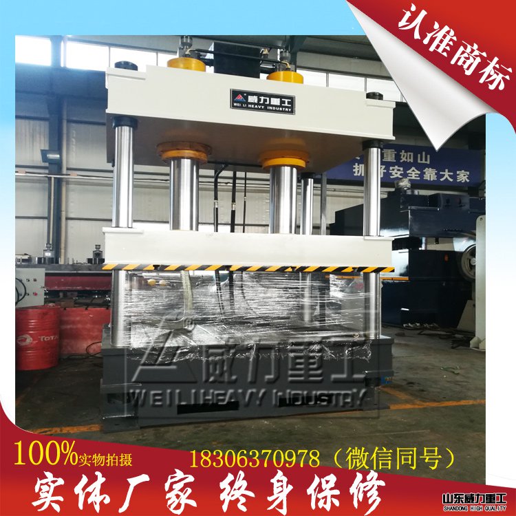 315噸大臺面雙缸液壓機